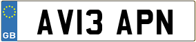 Truck License Plate